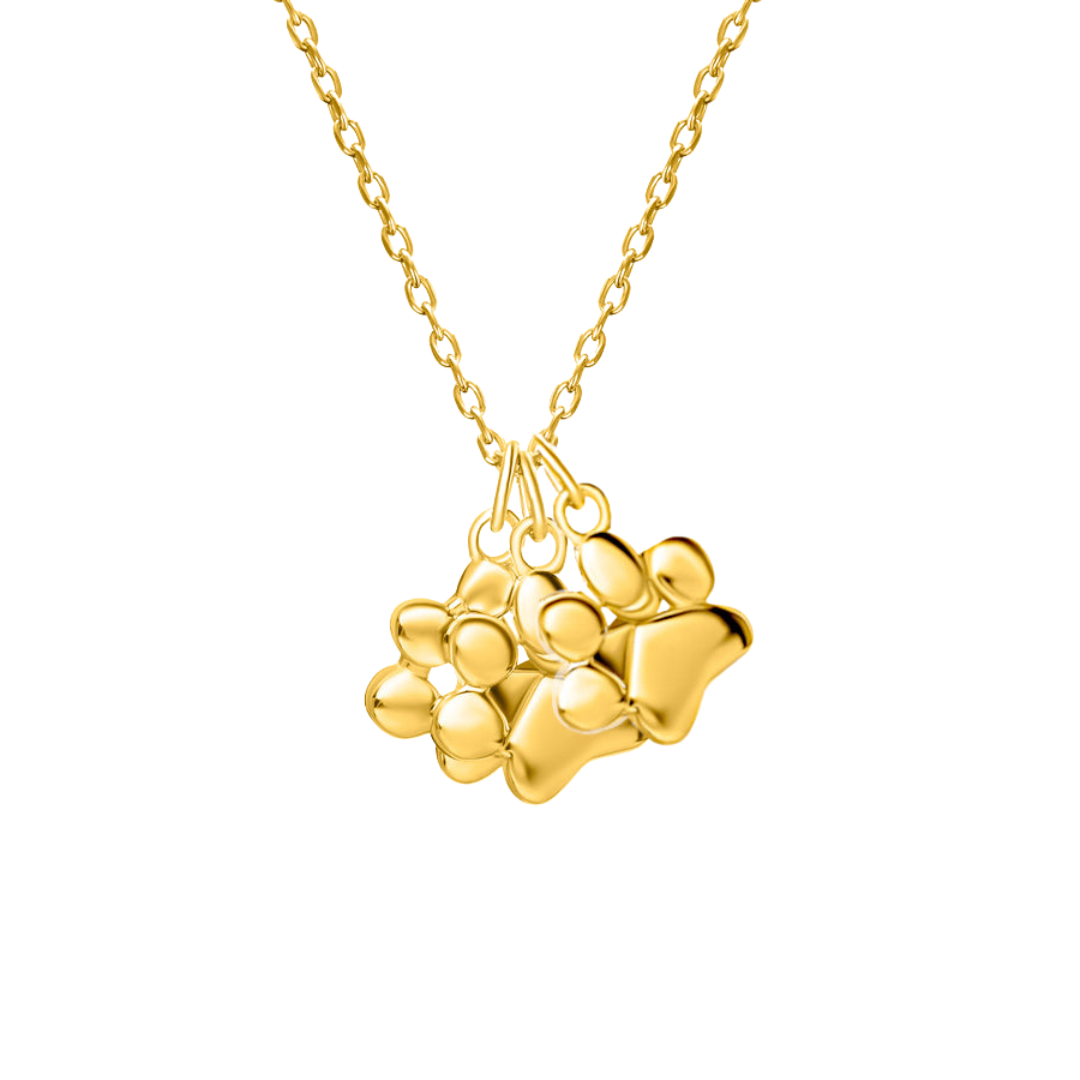 Teeny Tiny Triple Paw Necklace